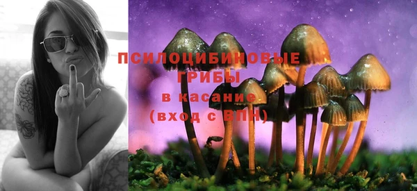 тгк Бугульма